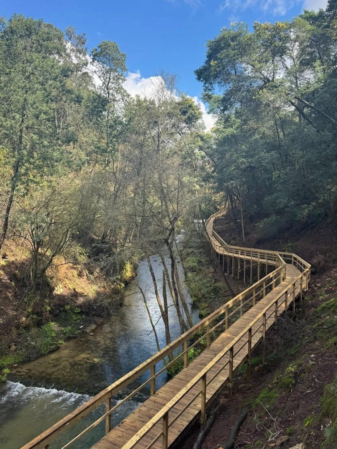 Apartamento T3 para Venda em Nogueira do Cravo e Pindelo Foto 17