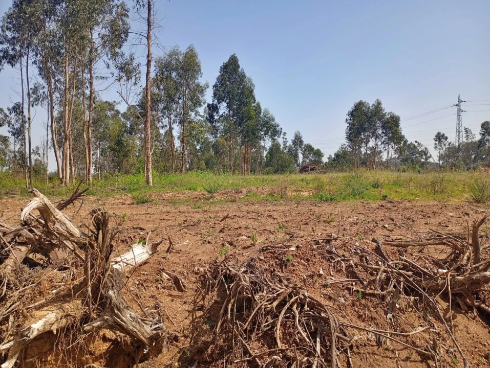 Terreno para Venda em Pedroso e Seixezelo Foto 8
