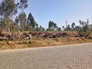 Terreno para Venda em Pedroso e Seixezelo