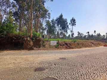 Terreno para Venda em Pedroso e Seixezelo