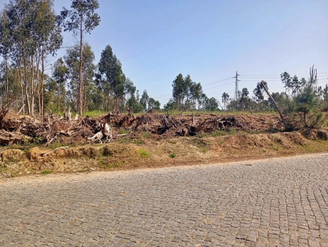 Terreno para Venda em Pedroso e Seixezelo Foto 5