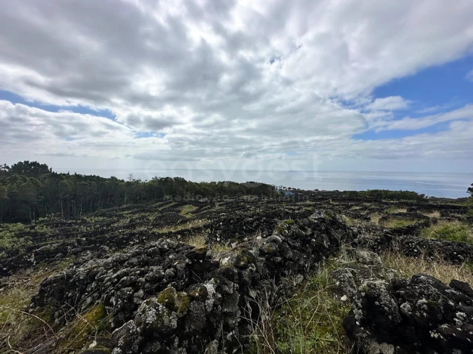 Terreno para Venda em São Mateus Foto 1