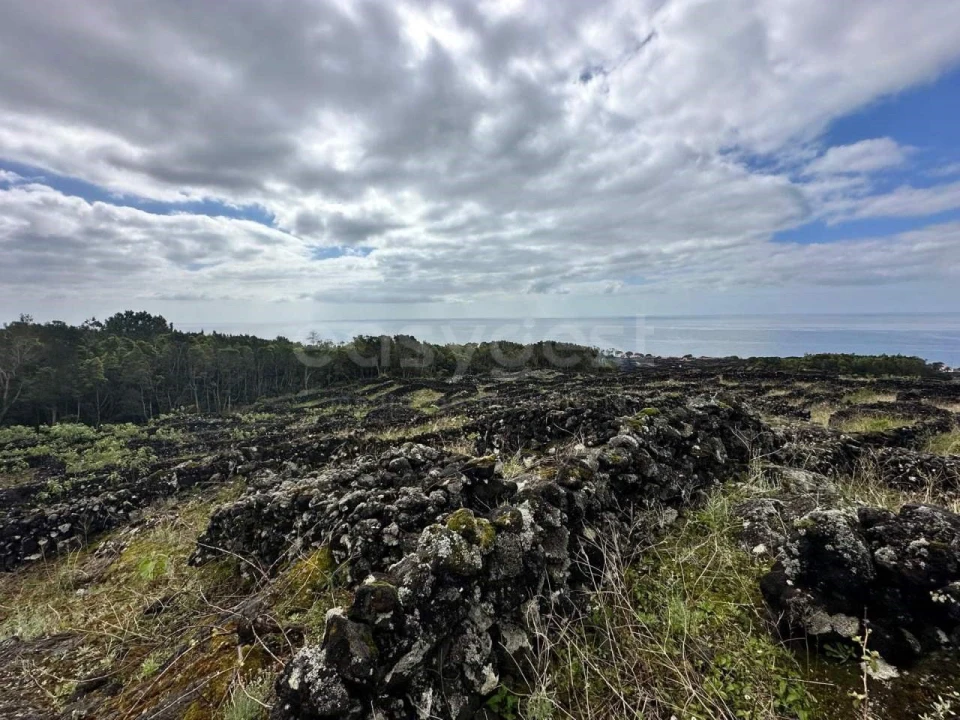 Terreno para Venda em São Mateus Foto 2