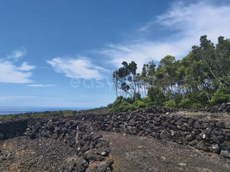 Terreno para Venda em São Mateus Foto 3