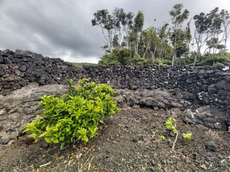 Terreno para Venda em São Mateus Foto 4