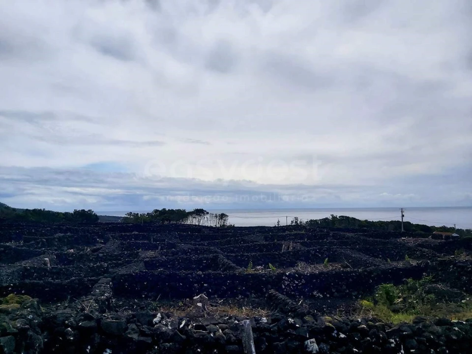 Terreno para Venda em São Mateus Foto 5