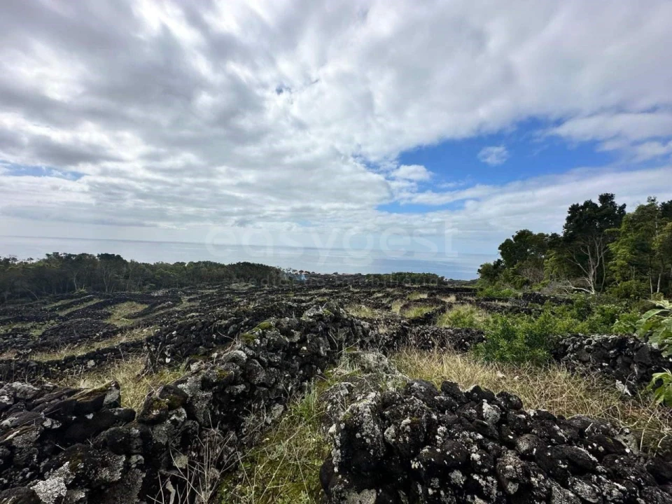 Terreno para Venda em São Mateus Foto 6