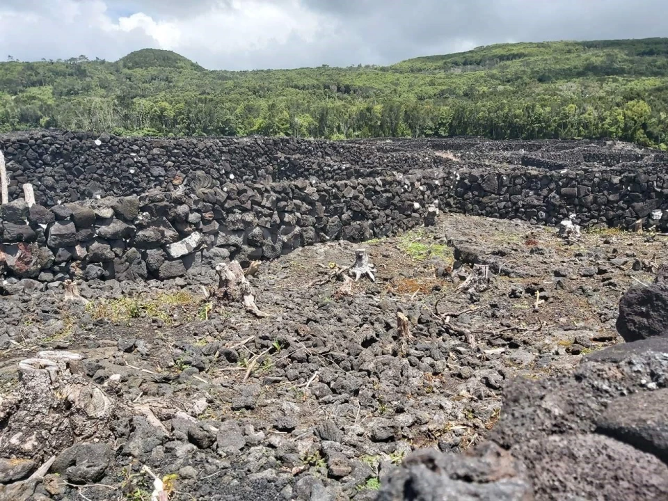 Terreno para Venda em São Mateus Foto 8