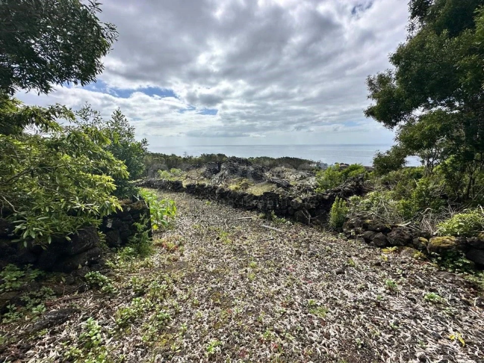 Terreno para Venda em São Mateus Foto 9