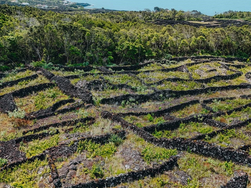 Terreno para Venda em São Mateus Foto 3