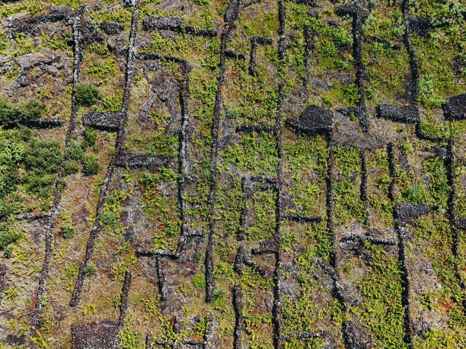 Terreno para Venda em São Mateus Foto 4