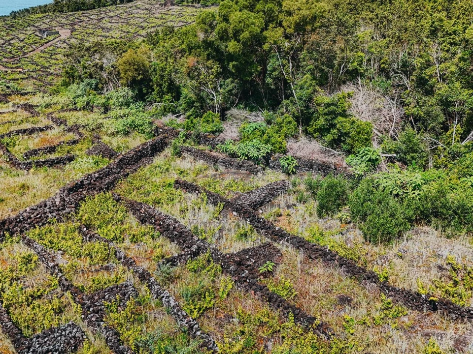 Terreno para Venda em São Mateus Foto 5