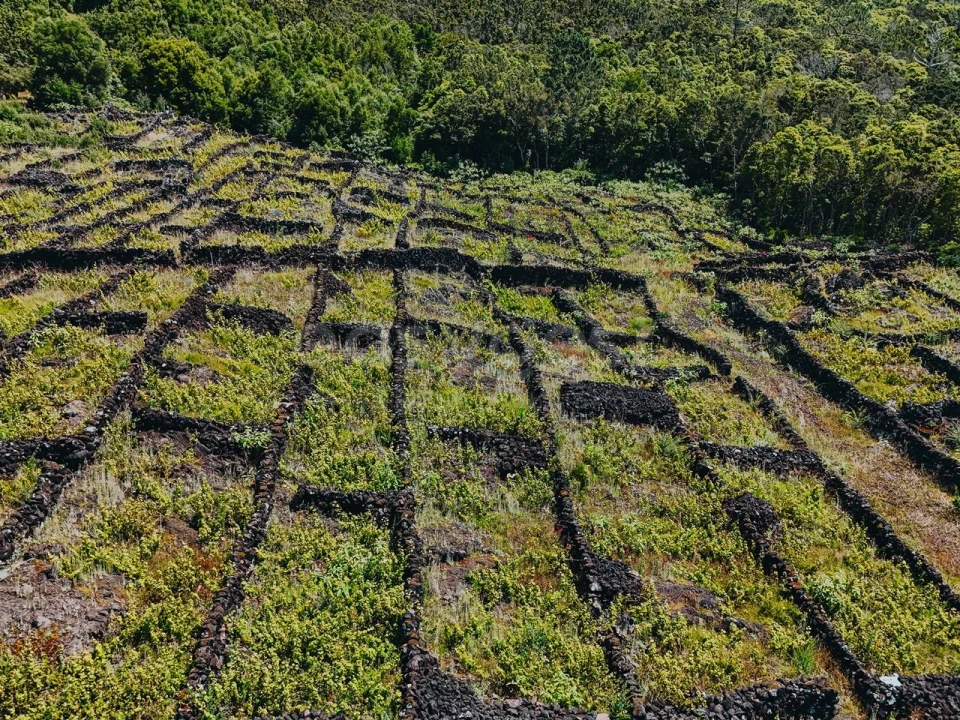 Terreno para Venda em São Mateus Foto 7