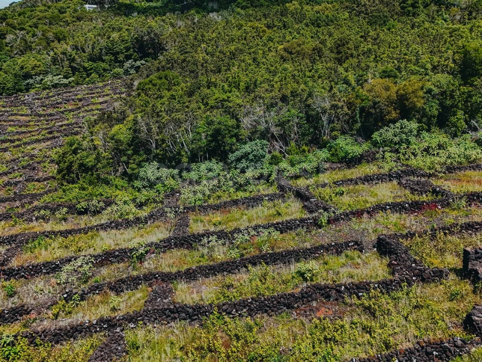 Terreno para Venda em São Mateus Foto 10
