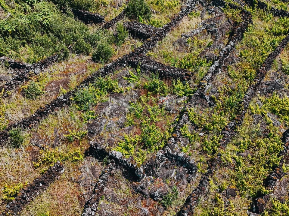 Terreno para Venda em São Mateus Foto 11