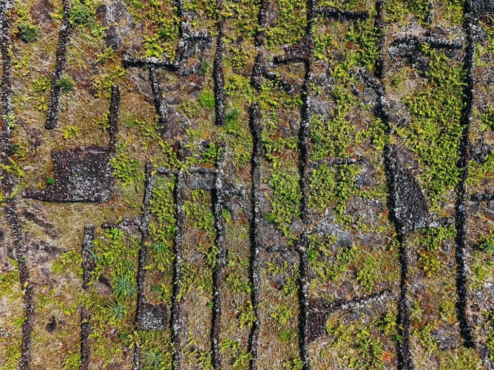 Terreno para Venda em São Mateus Foto 15