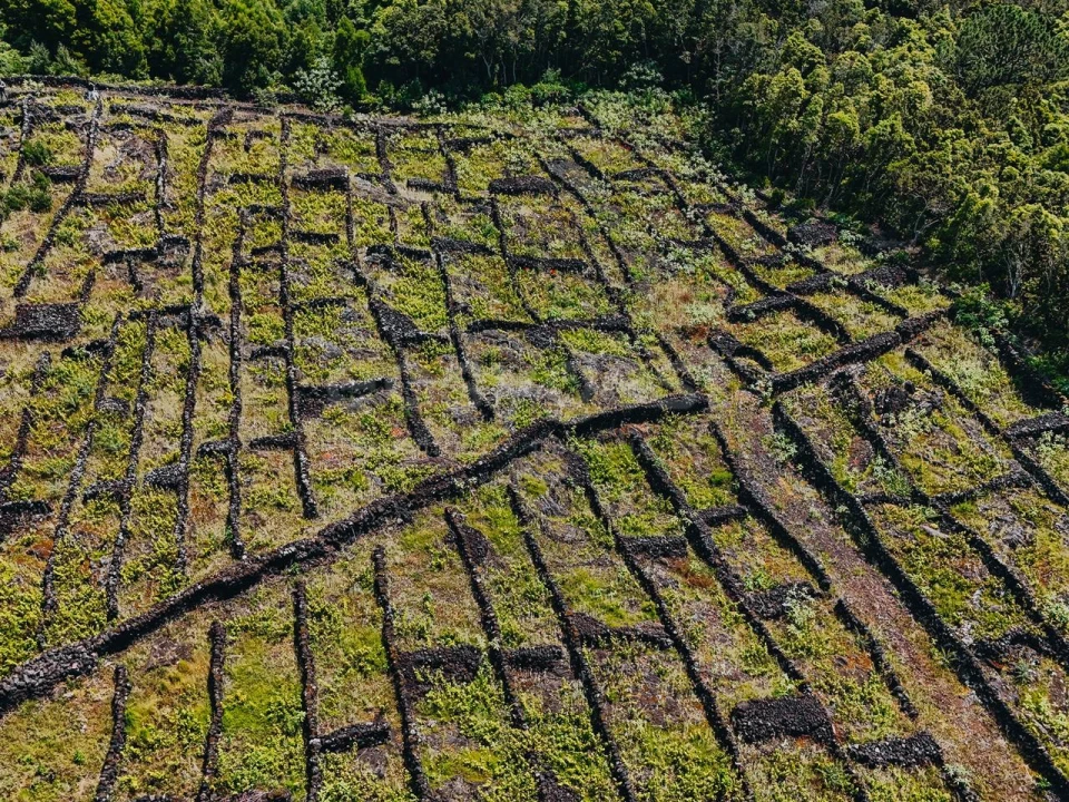 Terreno para Venda em São Mateus Foto 17