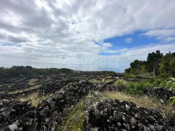 Terreno para Venda em São Mateus