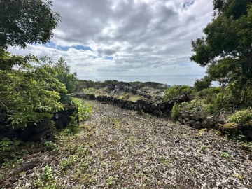 Terreno para Venda em São Mateus