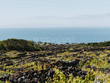 Terreno para Venda em São Mateus