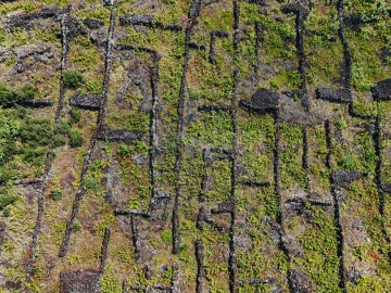 Terreno para Venda em São Mateus