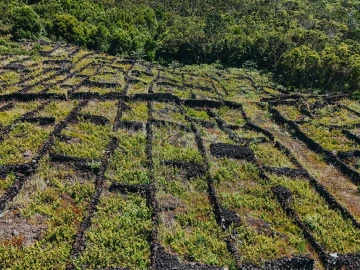 Terreno para Venda em São Mateus
