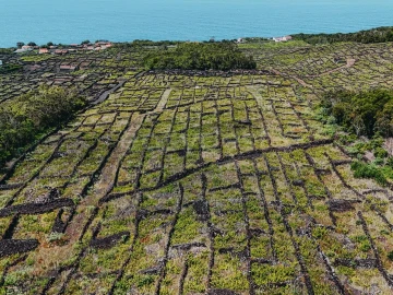 Terreno para Venda em São Mateus