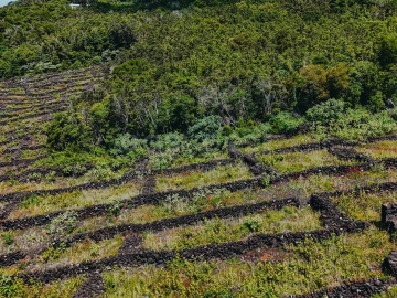 Terreno para Venda em São Mateus