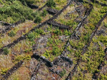Terreno para Venda em São Mateus