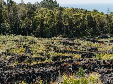 Terreno para Venda em São Mateus
