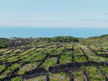 Terreno para Venda em São Mateus