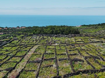 Terreno para Venda em São Mateus