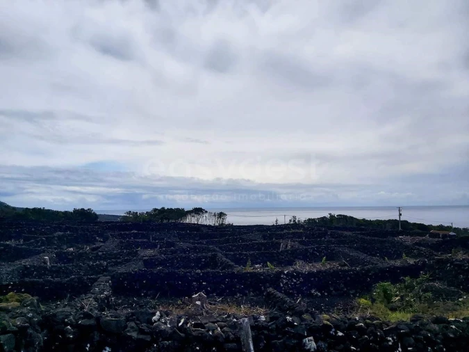 Terreno para Venda em São Mateus Foto 5