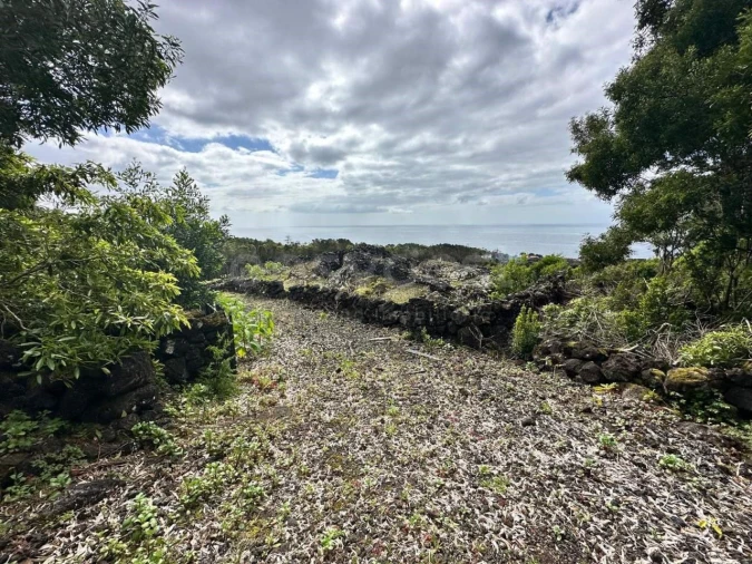 Terreno para Venda em São Mateus Foto 9