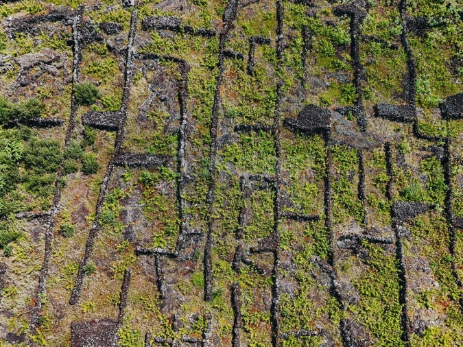 Terreno para Venda em São Mateus Foto 4