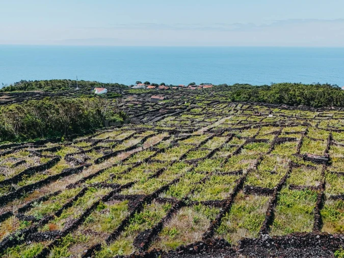 Terreno para Venda em São Mateus Foto 6