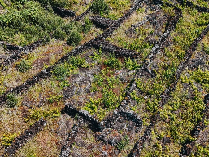 Terreno para Venda em São Mateus Foto 11