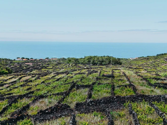 Terreno para Venda em São Mateus Foto 14