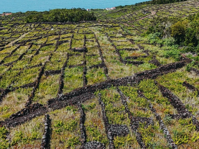 Terreno para Venda em São Mateus Foto 18