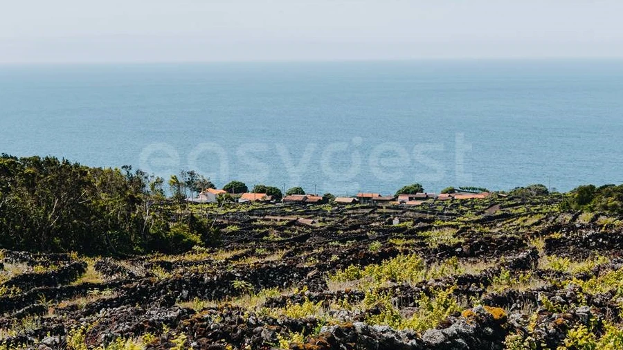 Terreno para Venda em São Mateus