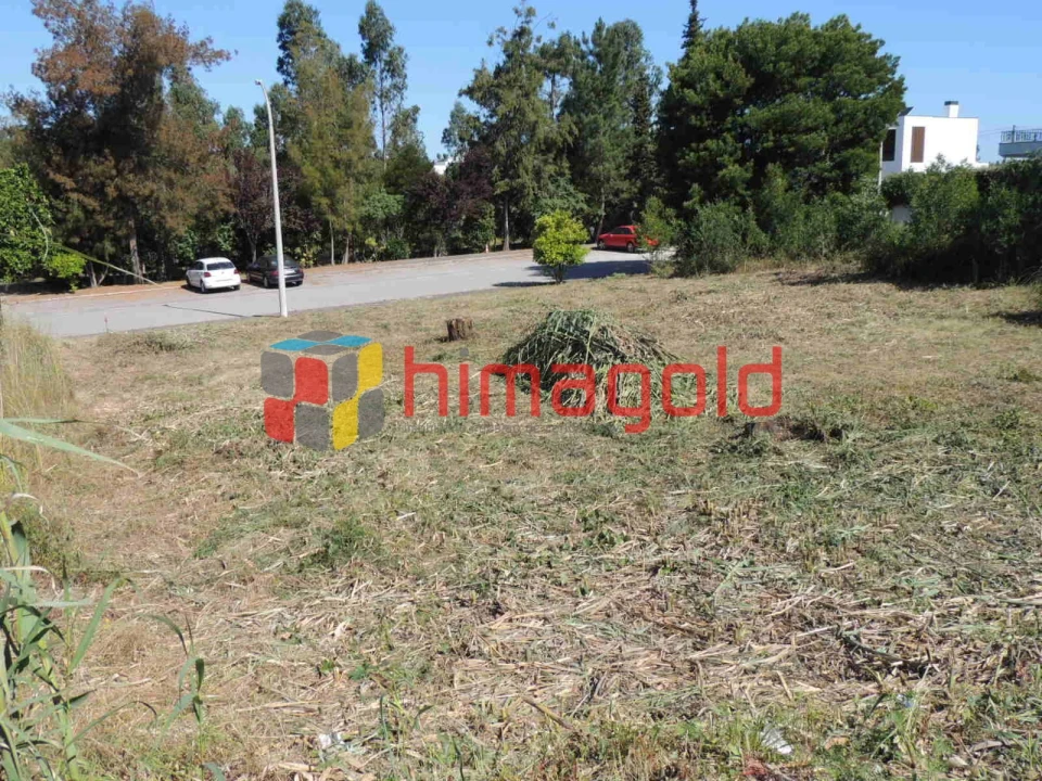 Terreno para Venda em Marrazes e Barosa Foto 15