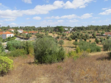 Terreno para Venda em Assentiz