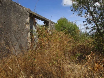 Terreno para Venda em Assentiz