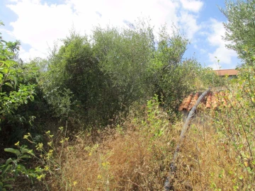 Terreno para Venda em Assentiz