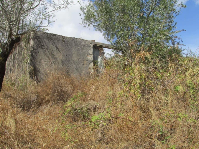 Terreno para Venda em Assentiz Foto 2