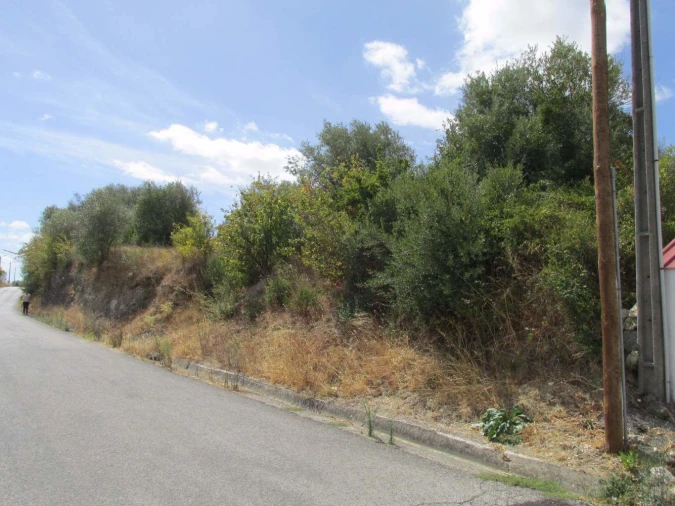 Terreno para Venda em Assentiz Foto 4