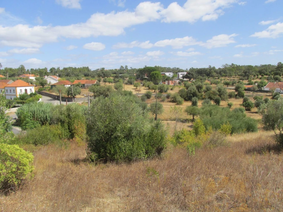 Terreno para Venda em Assentiz Foto 1