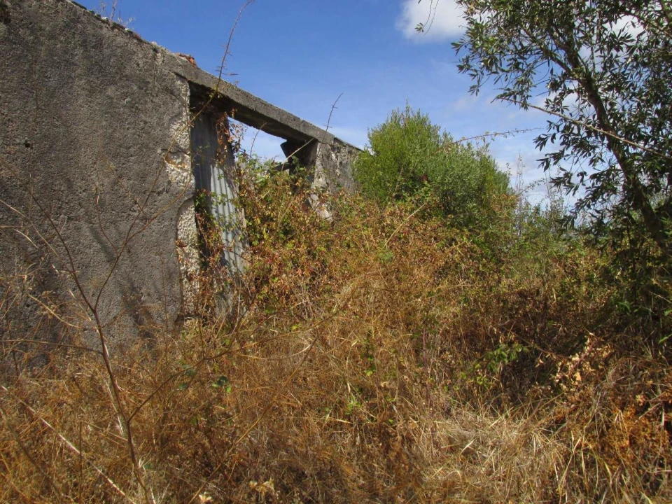 Terreno para Venda em Assentiz Foto 11