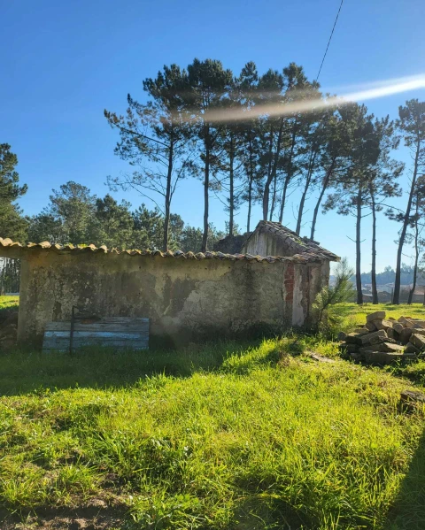 Terreno para Venda em Vieira de Leiria