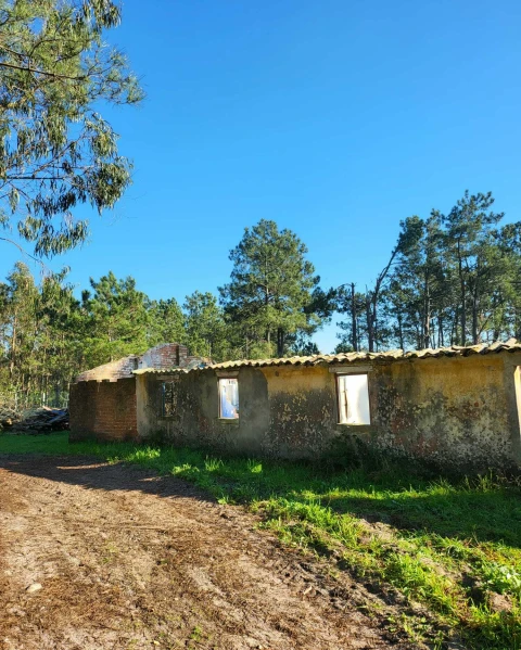 Terreno para Venda em Vieira de Leiria